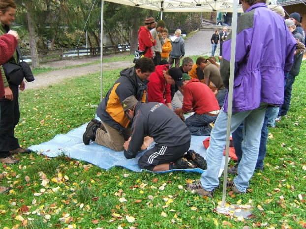 AKC BLS 2007 �tztal