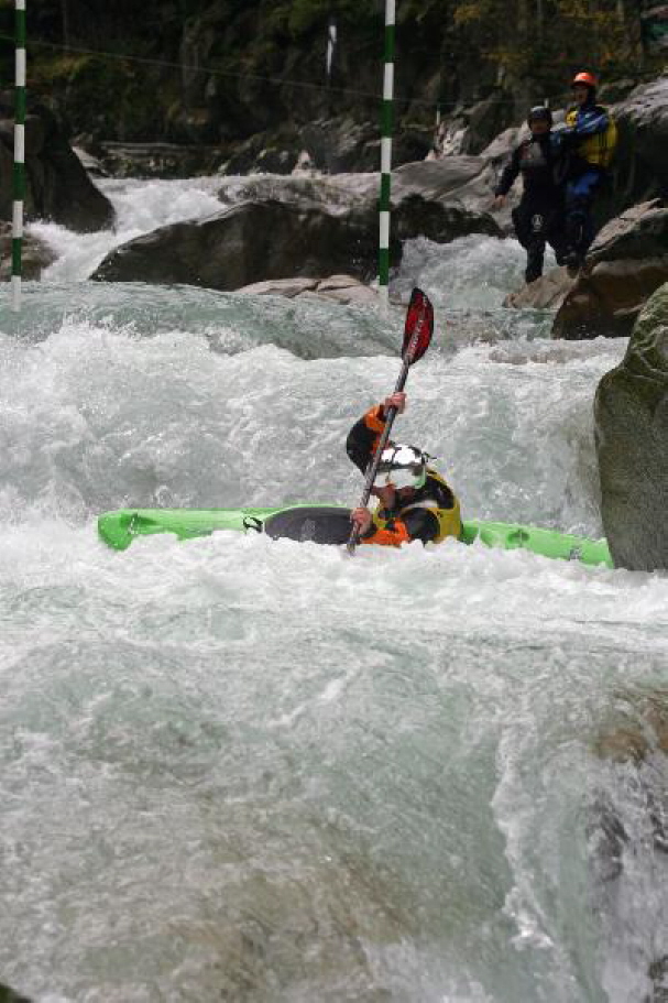 Sick Line Wellerbr�cke 200665