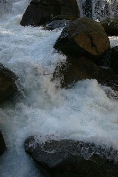 Wellerbr�cke 200528